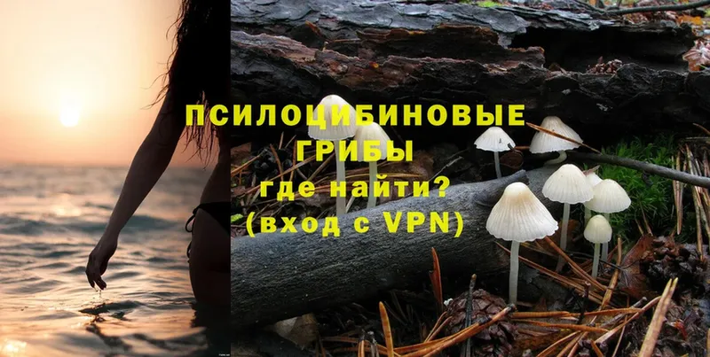 площадка наркотические препараты  Уфа  Псилоцибиновые грибы Psilocybe 